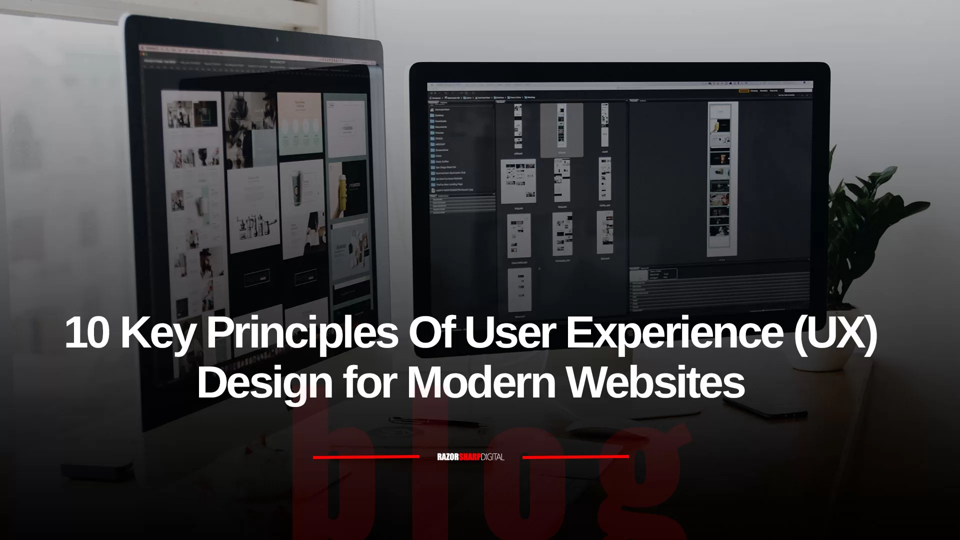 10 Key Principles Of User Experience (UX) Design for Modern Websites ...